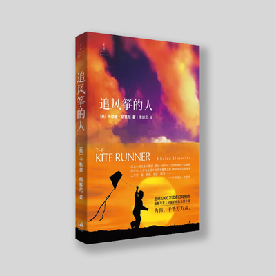 《追风筝的人》